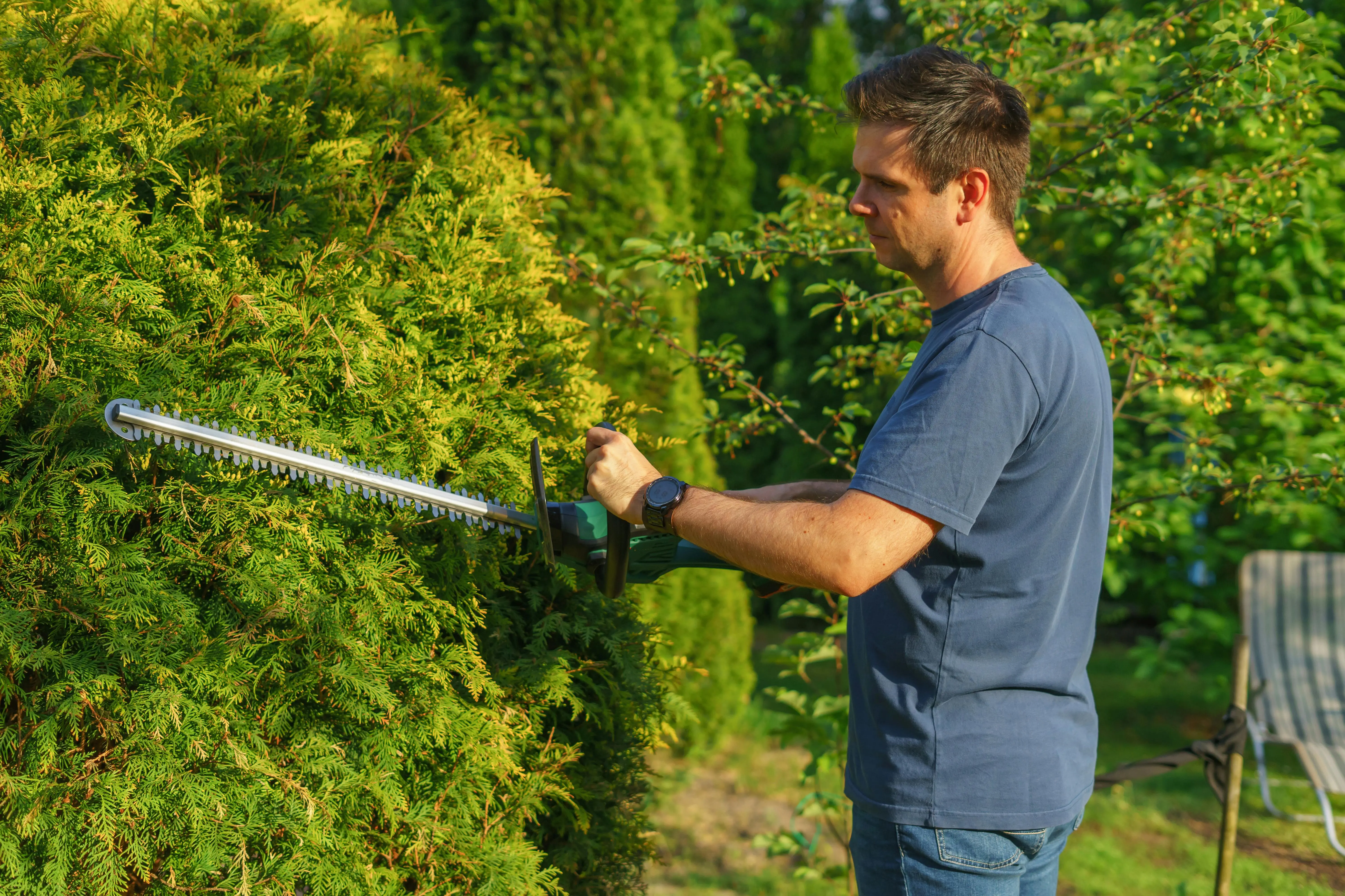 Landscaping
